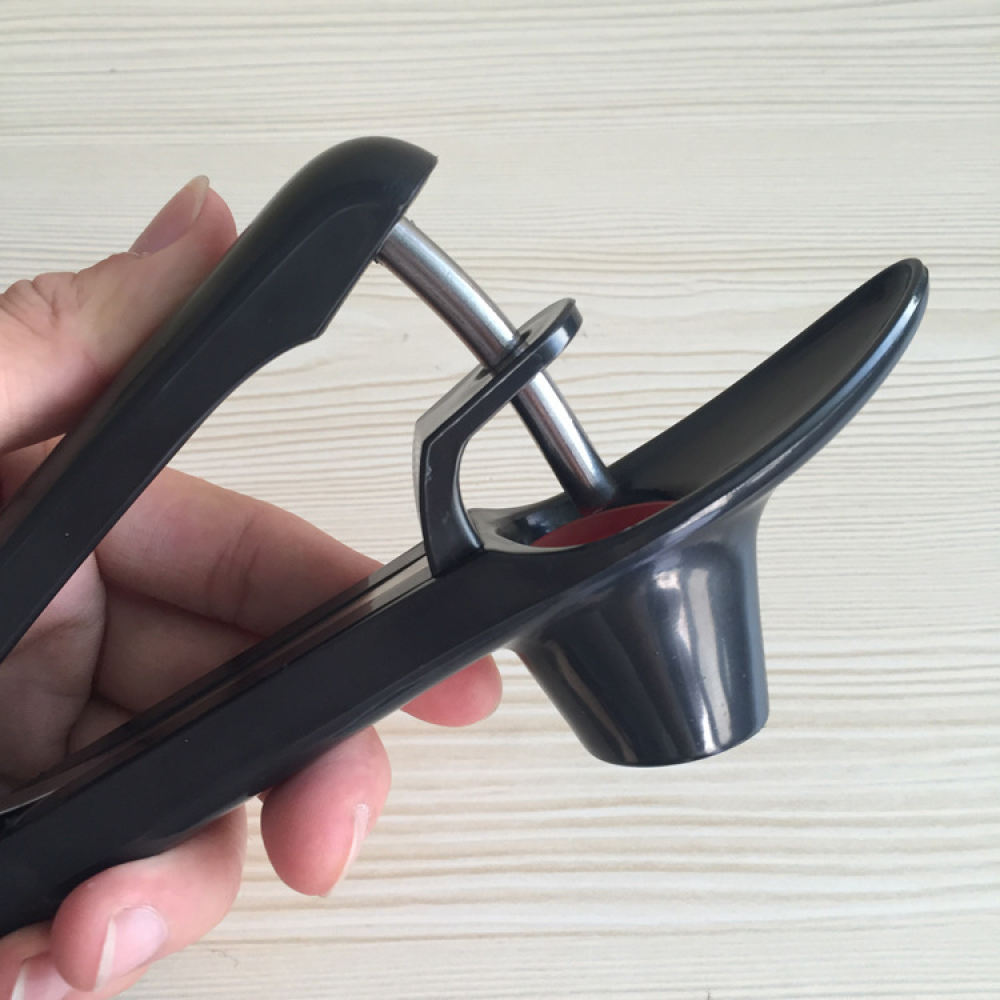 Professionele kersentoner van  - Kitchen Helper Gadgets recensie en prijs